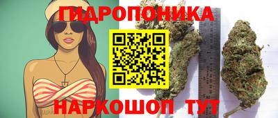 spice Лесосибирск