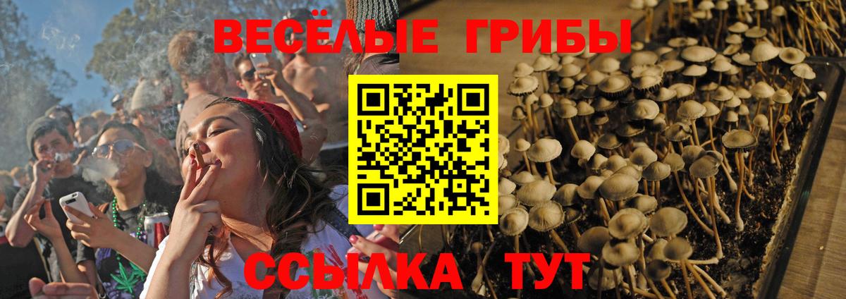 Псилоцибиновые грибы прущие грибы Каменск-Уральский